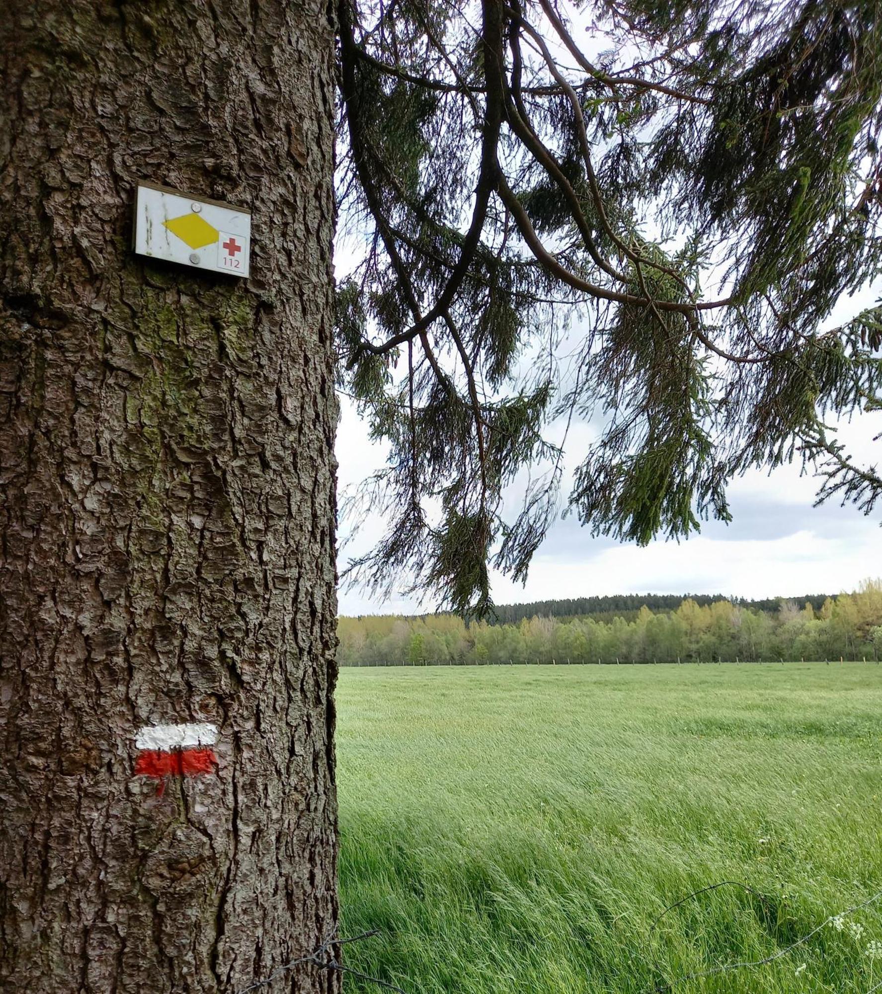 Willa Gite Citadin 3 Epis "Carpe Diem" Bastogne Pokój zdjęcie